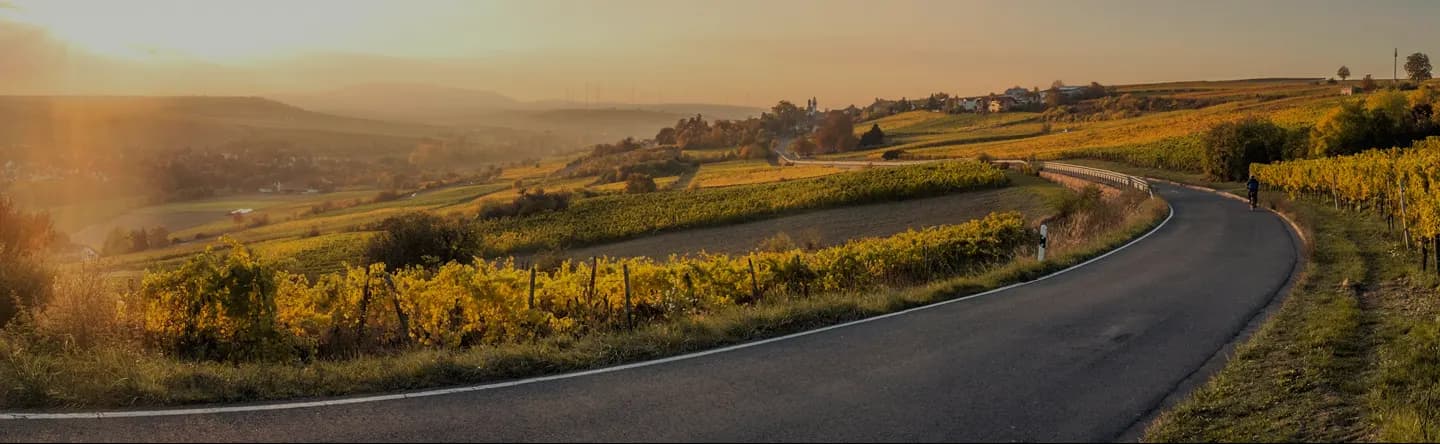 Stony road through an open Australian field