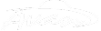 Industry partner logo 2